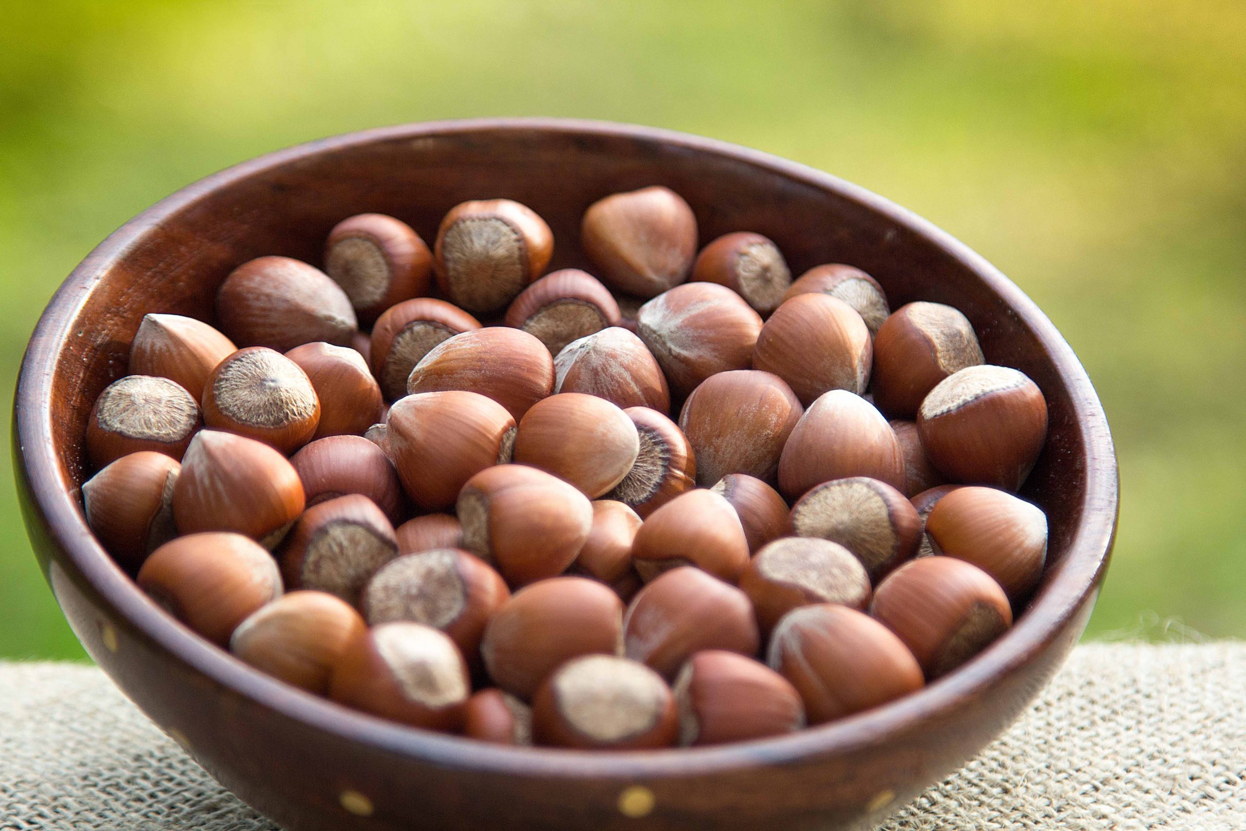 2022 FEBRUARY HAZELNUT INTERIM MARKET REPORT Arslantürk Turkish